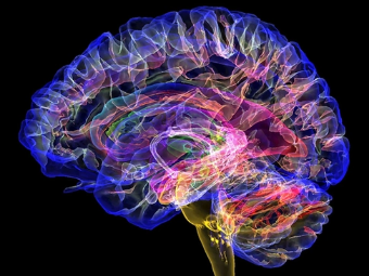 国模吧GOGO人体写真大脑植入物有助于严重头部损伤恢复